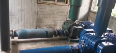 污水處理廠羅茨車鼓風機